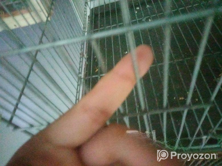 24″18″ pakhir khaca