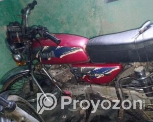 fitted-9_2025-07-28_18-25-01