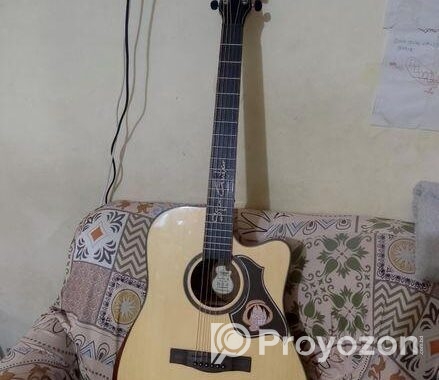 Guitar
