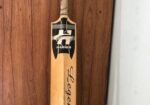 HAMMER LEGEND (Cricket Bat)