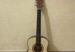 Deviser LS-120-36, travel guitar