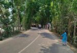 জমি বিক্রি করবো ১৬ শতাংশ