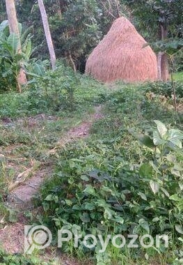 জমি বিক্রি ৫২ শতাংশ [২৬ করা]