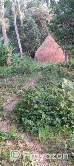 জমি বিক্রি ৫২ শতাংশ [২৬ করা]