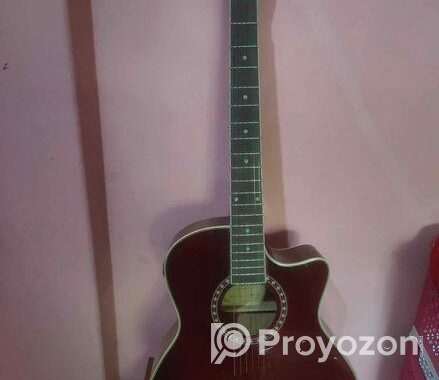 জ্যাকসন ব্রান্ড গিটার