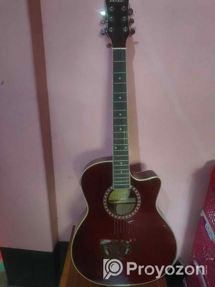 জ্যাকসন ব্রান্ড গিটার