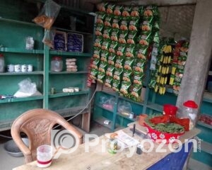 fitted_2025-07-30_17-26-43