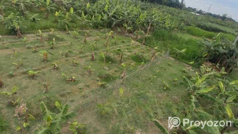 বাড়িঘড়, ফার্ম বা যে কোন প্রকল্প করা যাবে আর সারা ব