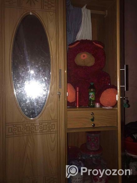 পারটেক্স এর আলমারি