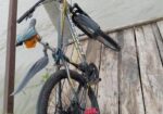 গিয়ার সাইকেল