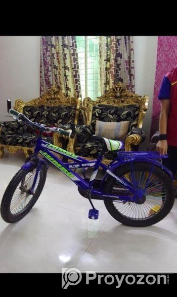 22 inch alton jumbo bicycle