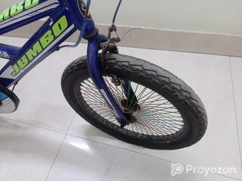 22 inch alton jumbo bicycle