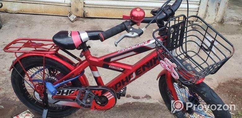 Phoneix 16 size new baby cycle