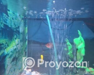 fitted-100_2025-08-03_11-11-50