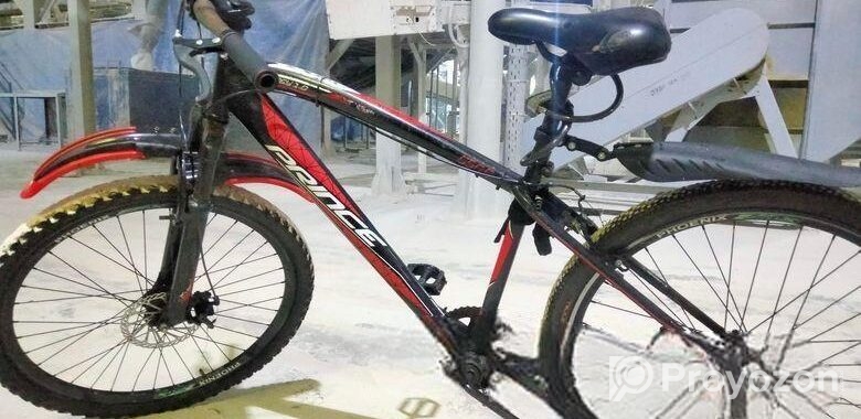 Bicycle for sale
