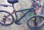 Duranta Bicycle for sale