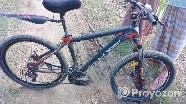 Duranta Bicycle for sale
