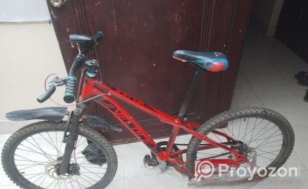Veloce Bi cycle