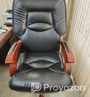 Director Chair