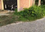 Big road east-north corner 10 katha plot urgent sa