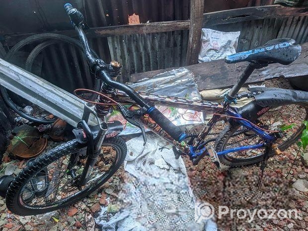 ফ্রেশ সাইকেল