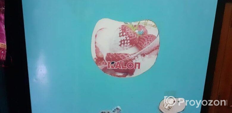 Kalon 200 Lit Running Deep Fridge