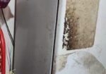 FREEZER FOR SALE