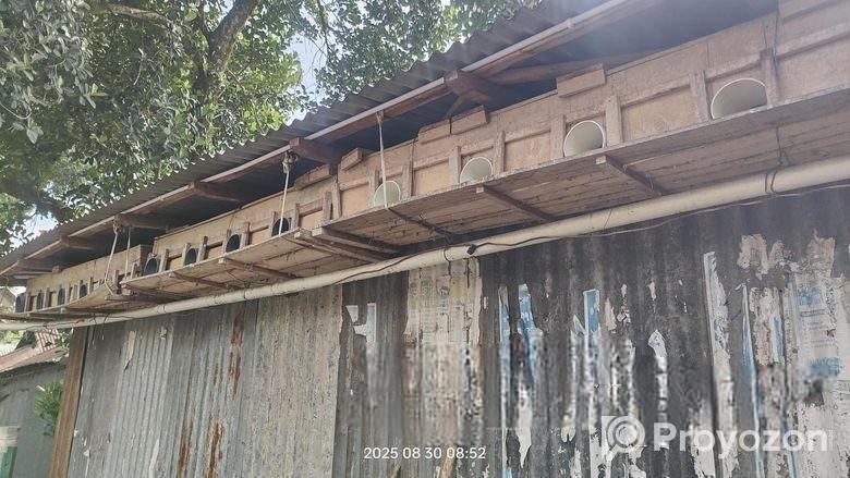 কবুতরের খোপ বিক্রি করবো