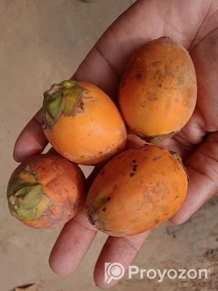 সুপারি বিক্রি