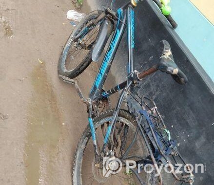 Bicycle for sell