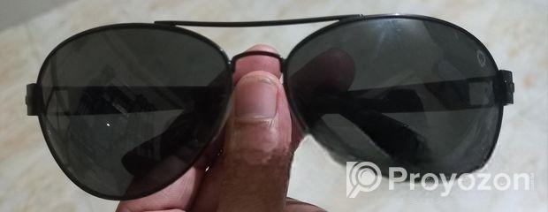 Safari Sunglass
