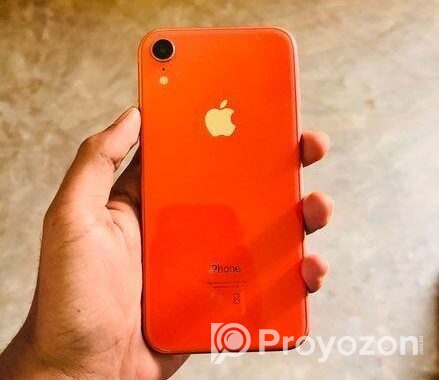 Apple iPhone XR full fresh (Used)