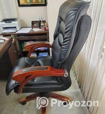 Director Chair