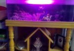 Aquarium