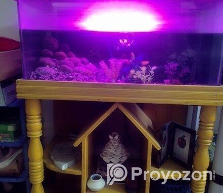 Aquarium