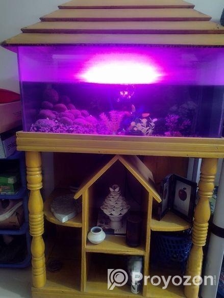 Aquarium
