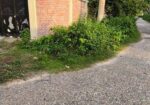 Big road east-north corner 10 katha plot urgent sa