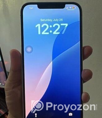 Apple iPhone 12 Pro Max . (Used)
