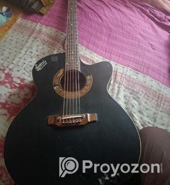 Guitar for sale