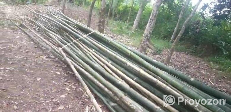 বাঁশ বিক্রি হবে