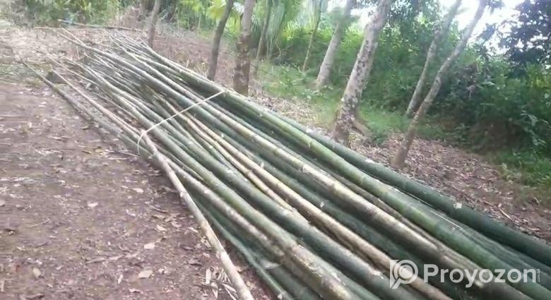 বাঁশ বিক্রি হবে