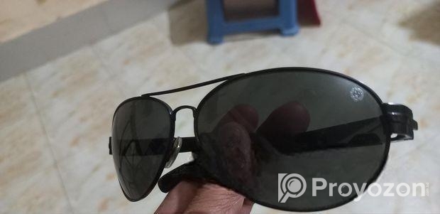 Safari Sunglass