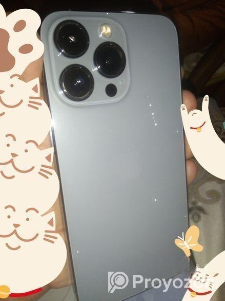 Apple iPhone 13 Pro (Used)