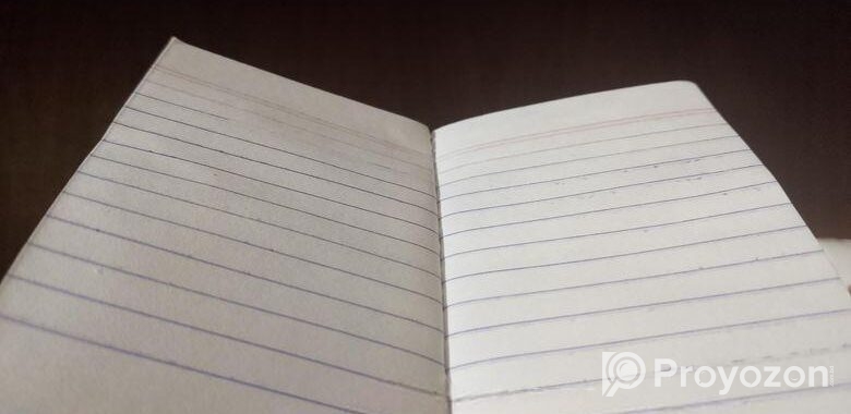 Mini Diary