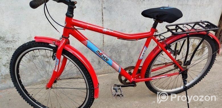 My Cycle 26