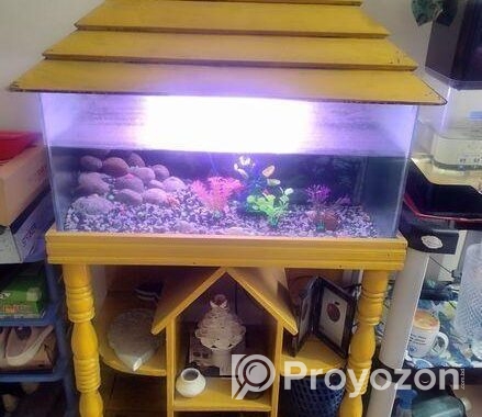 Aquarium