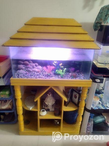 Aquarium