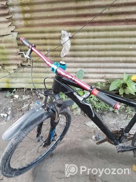 সাইকেল সেল,