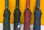 Bmw Umbrella