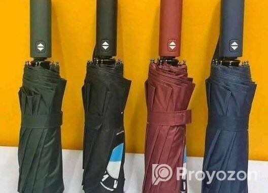 Bmw Umbrella